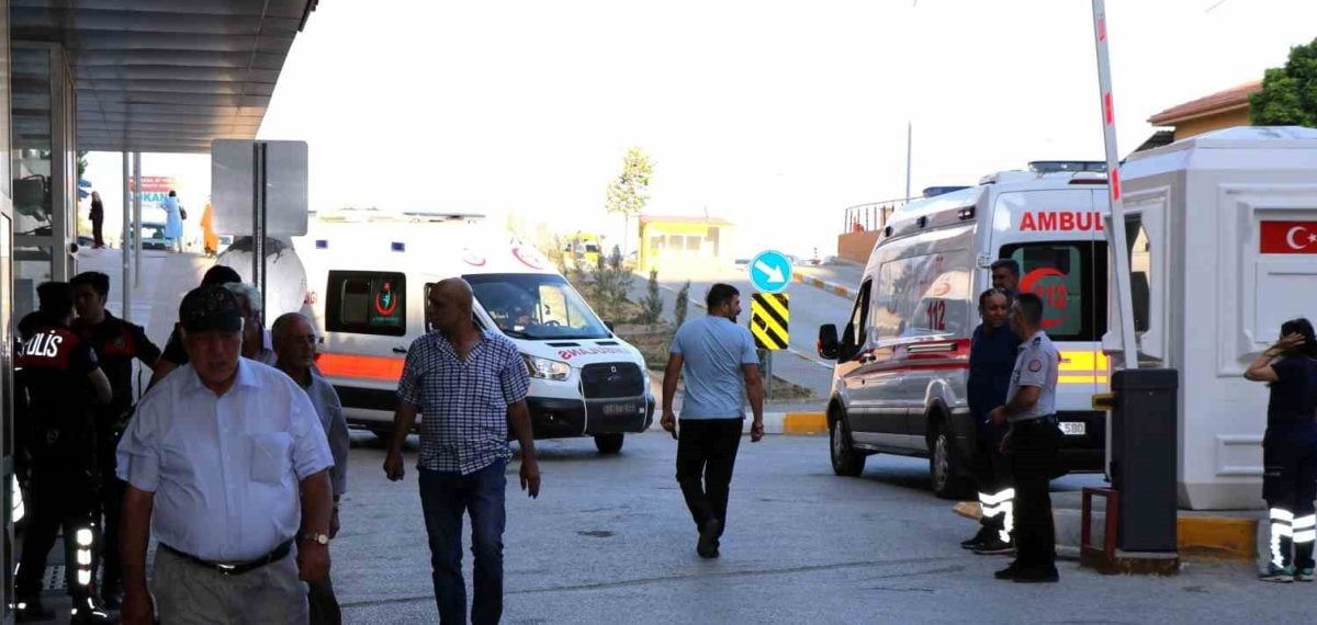 Arı sokmalarında ölüm riski: erken adrenalin hayat kurtarıyor