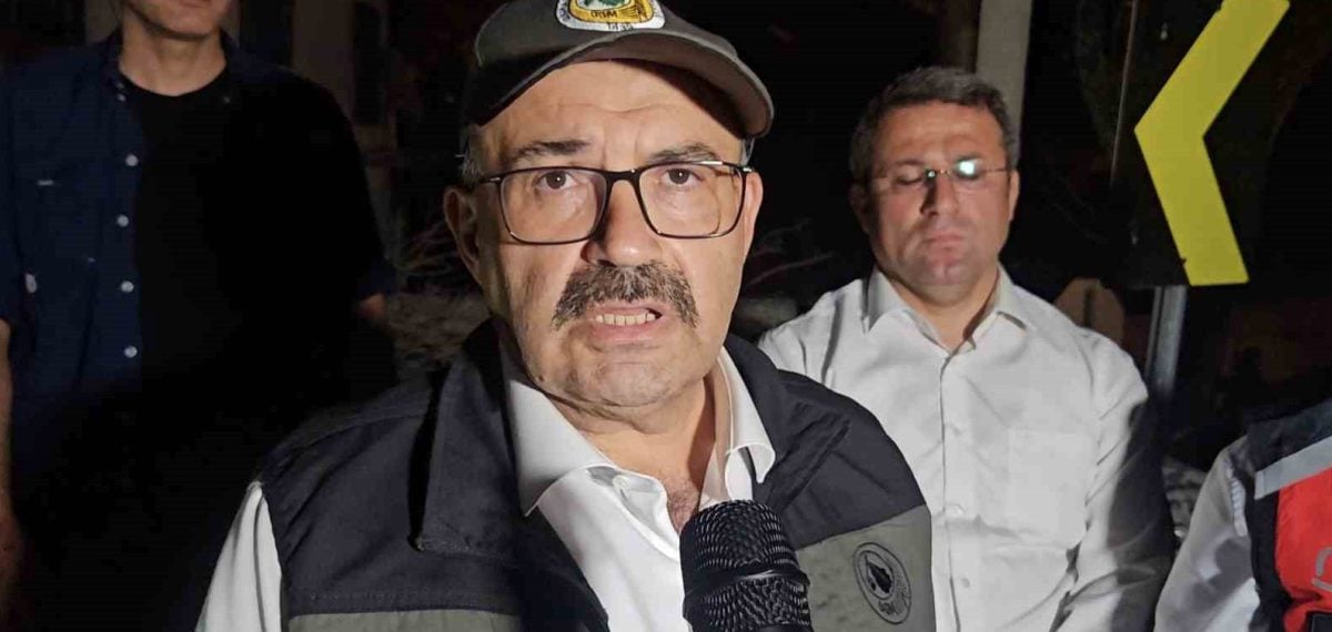 Ayvalık kırsalında süren yangına Validen açıklama, 658 personel müdahale ediyor