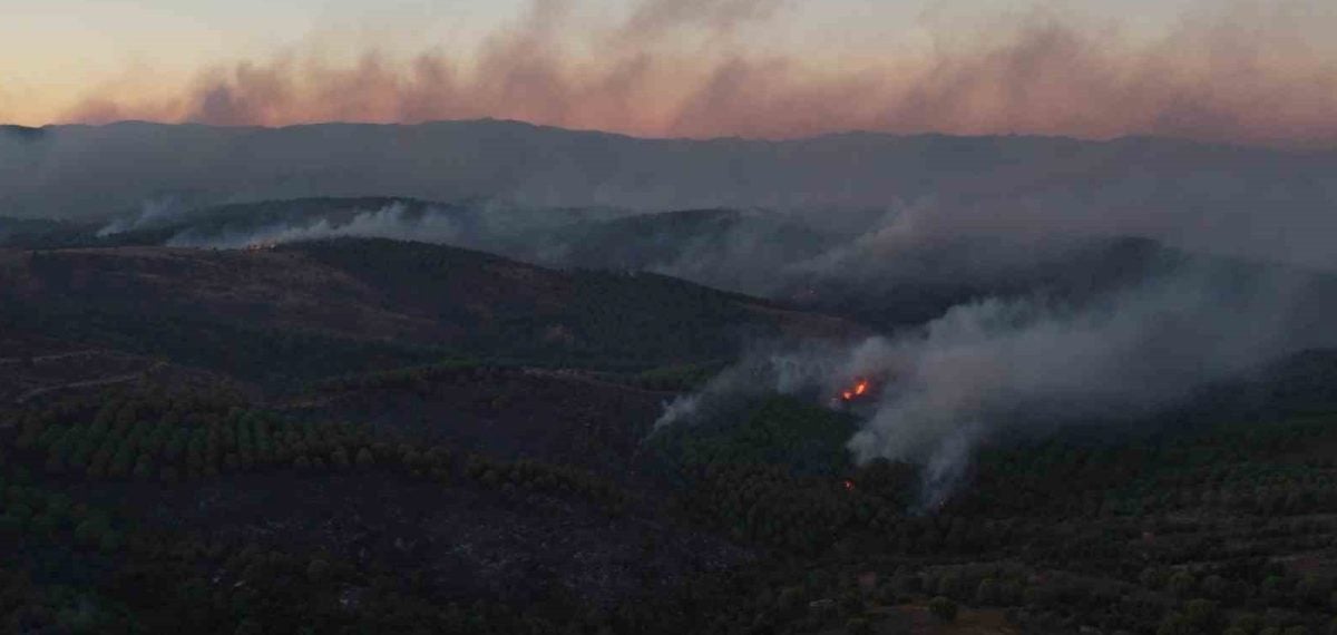 Ayvalık’ta orman yangını Tıfıllar Köyü’ne ulaştı, vatandaşlar hayvanları kurtardı