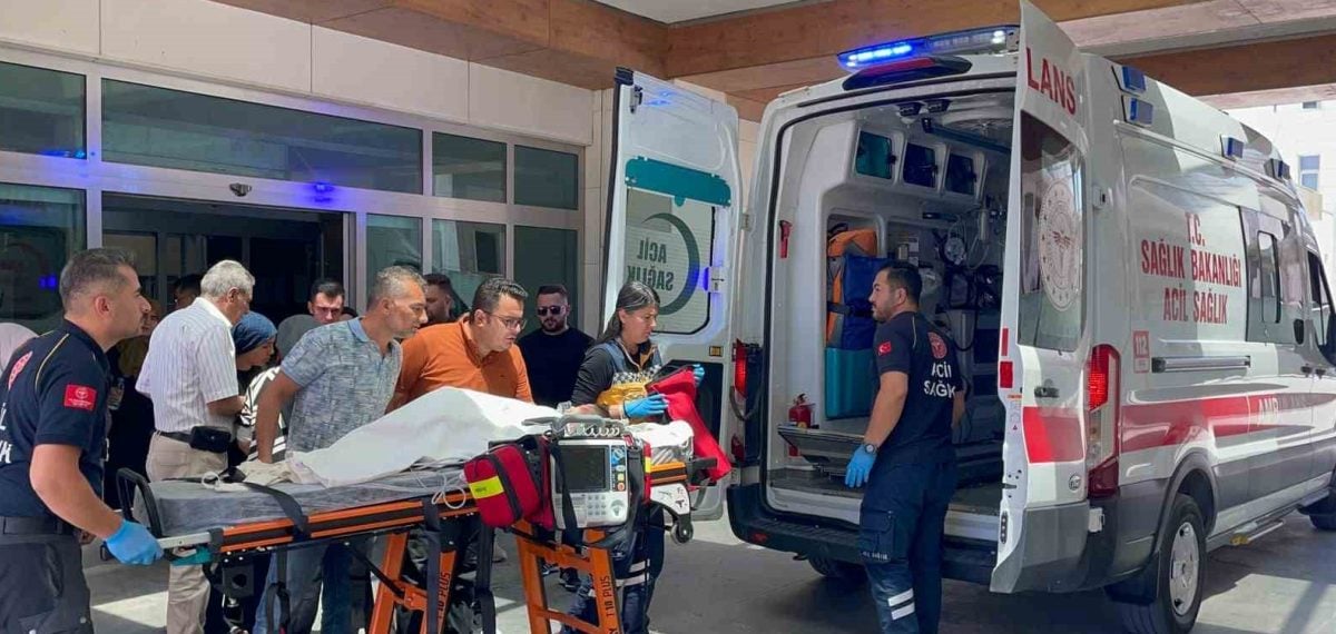 Belçika kurdu bir çocuğa saldırdı, ağır yaralı Konya’ya sevk edildi