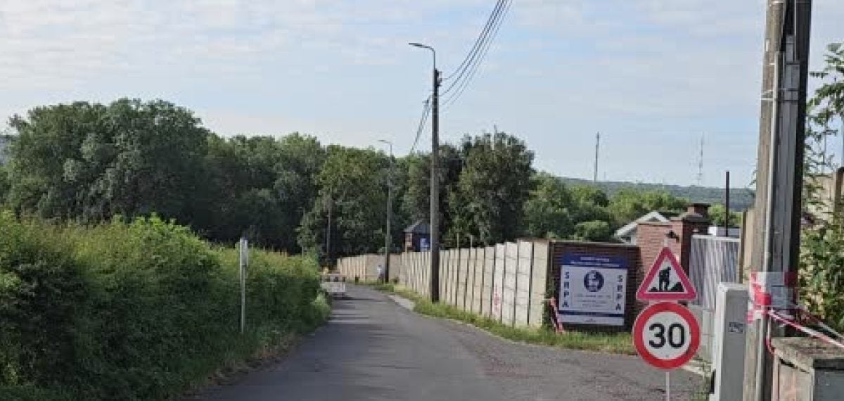 Belçika’da sokak köpeği neredeyse yok: Vakıf kültürü ve sıkı mevzuatın etkisi