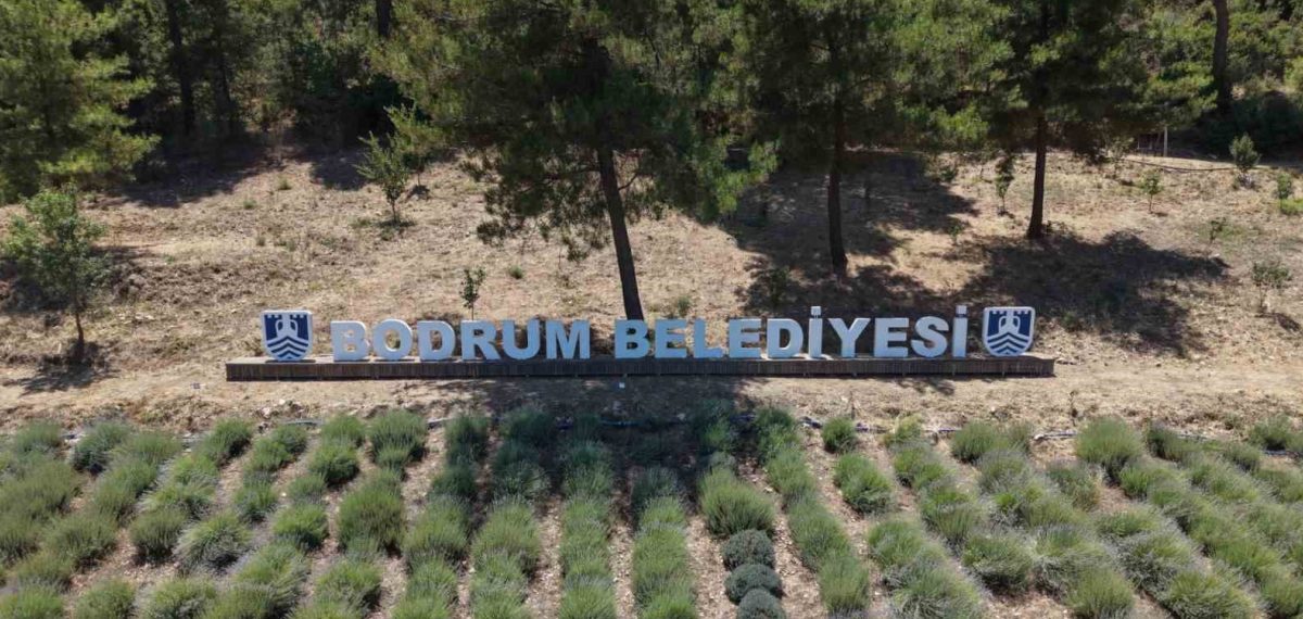 Bodrum’da Gençlik Tarım Kamplarının ilki Garaova Tarım Park’ta başladı