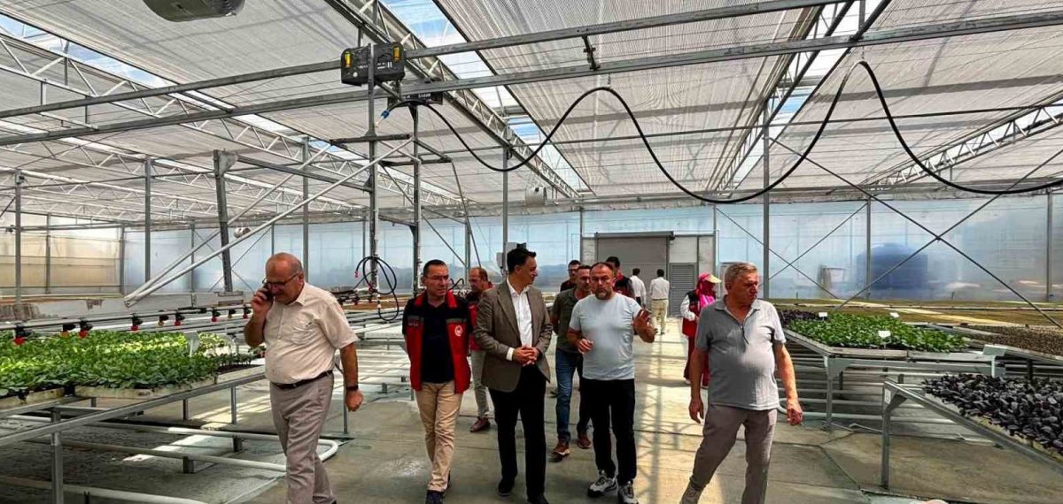 Bölge heyeti salep ve modern sera çalışmalarında iş birliği kararı aldı