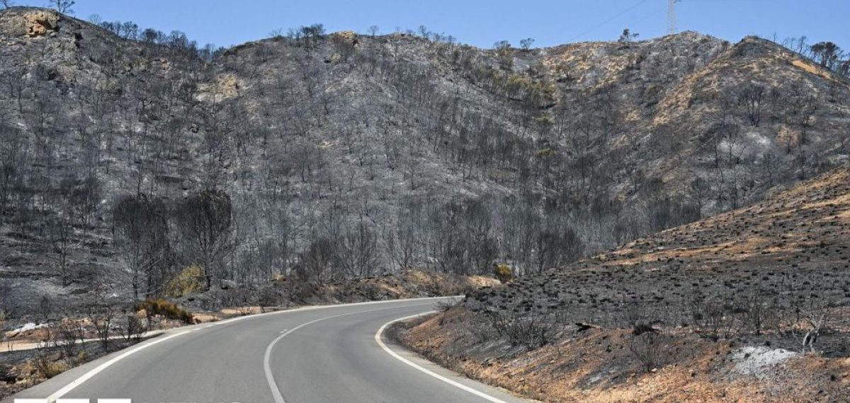 British hikers with severe burns rescued from Almería wildfire ravine