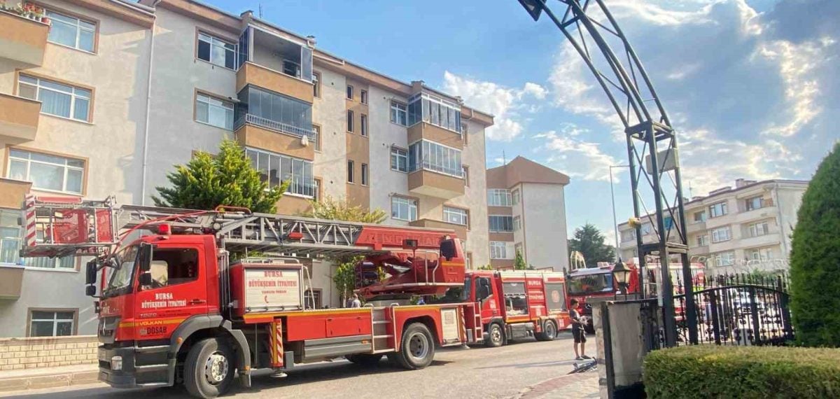 Bursa İnegöl’de çıkan yangında anne kedi ve iki yavrusu kurtarıldı, iki yavru hayatını kaybetti