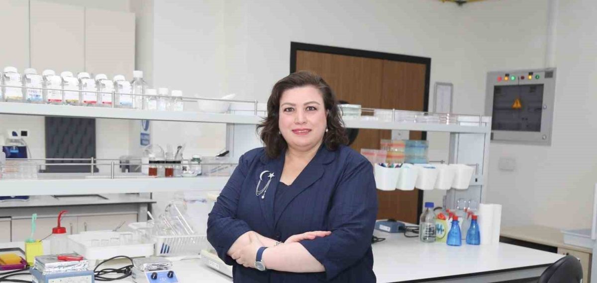 Bursa’da arı sütü kaynaklı RJEV yüklü GelMA hidrojel ile diyabetik ayak ülserine yerli tedavi geliştirme projesi