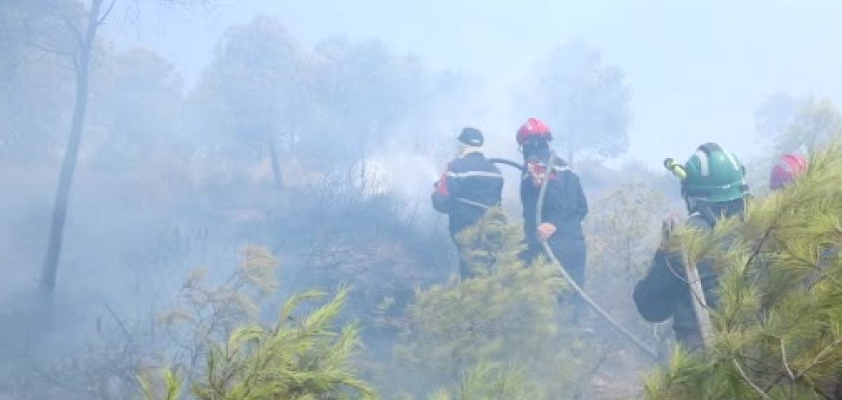 Cezayir orman yangınlarında 6 kişi yaşamını yitirdi, yüzlerce yangın söndürülüyor