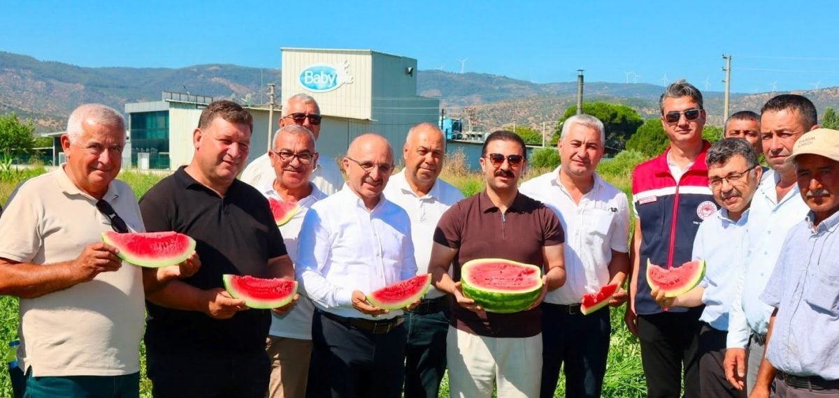 Cincin Karpuzunda ilk hasat yapıldı, Türkiye pazarına yolculuk başladı