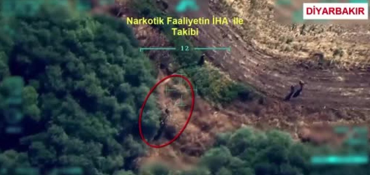 Diyarbakır’da 387 bin 882 kök kenevir ve skunk ele geçirildi, 10 şüpheli yakalandı