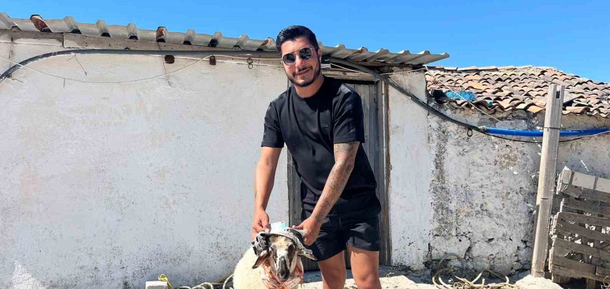 Ehliyetine kavuşan galerici adak kesti: Bir daha alkollü araç kullanmayacağım
