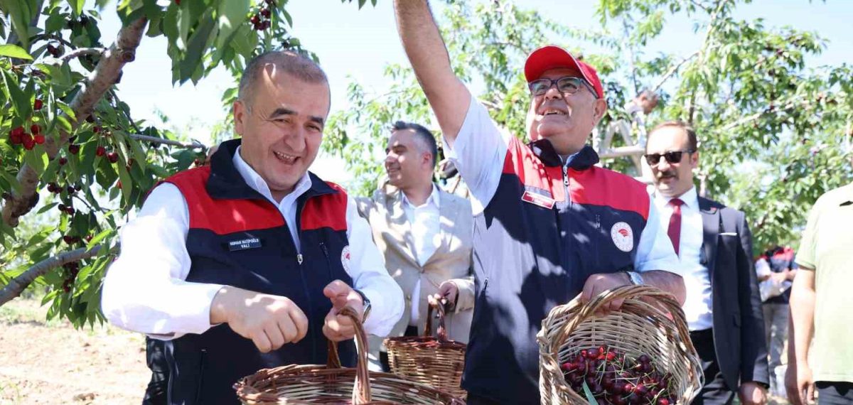 Elazığ’da kiraz hasadı başladı; Vali Hatipoğlu ve Milletvekili Keleş katıldı