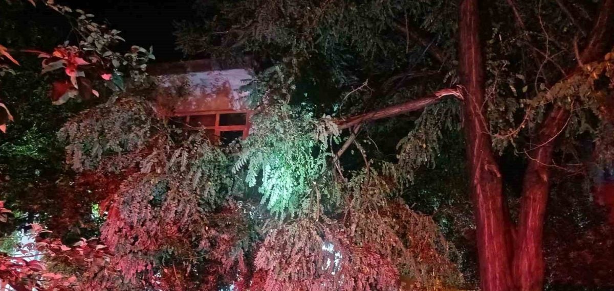 Erdek ve Kapıdağ’da şiddetli fırtına: ağaç devrildi, örtü yangını çıktı
