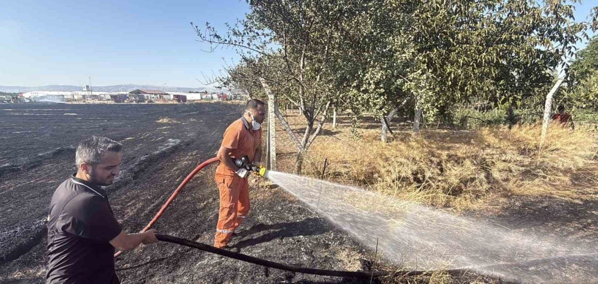 Eskişehir’de anız yangını büyüdü, fabrikalara 200 metre kala kontrol altına alındı