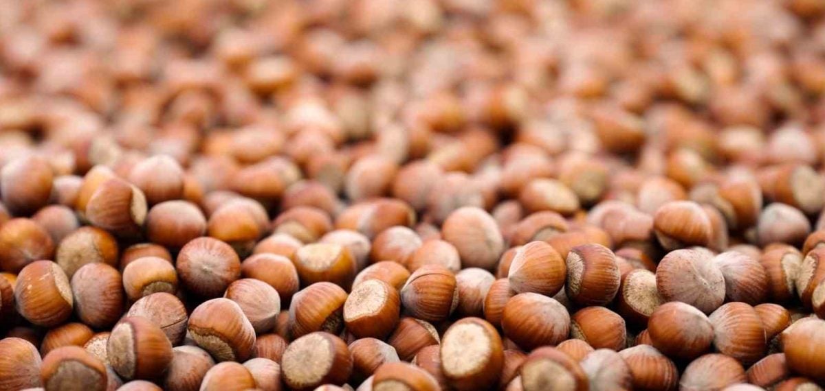 Ferrero 2025 Sürdürülebilirlik Raporu: Tedarik zincirinde dayanıklılık ve izlenebilirlik arttı