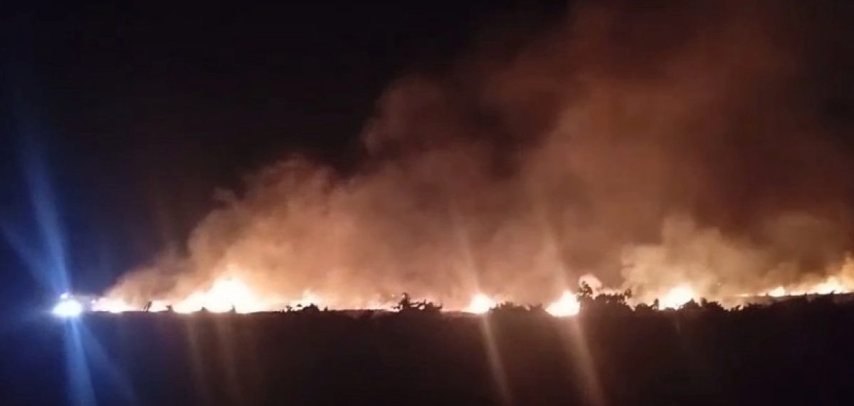 Gaziantep İslahiye’de anız yangını tarım arazilerini ve doğal yaşamı tahrip etti