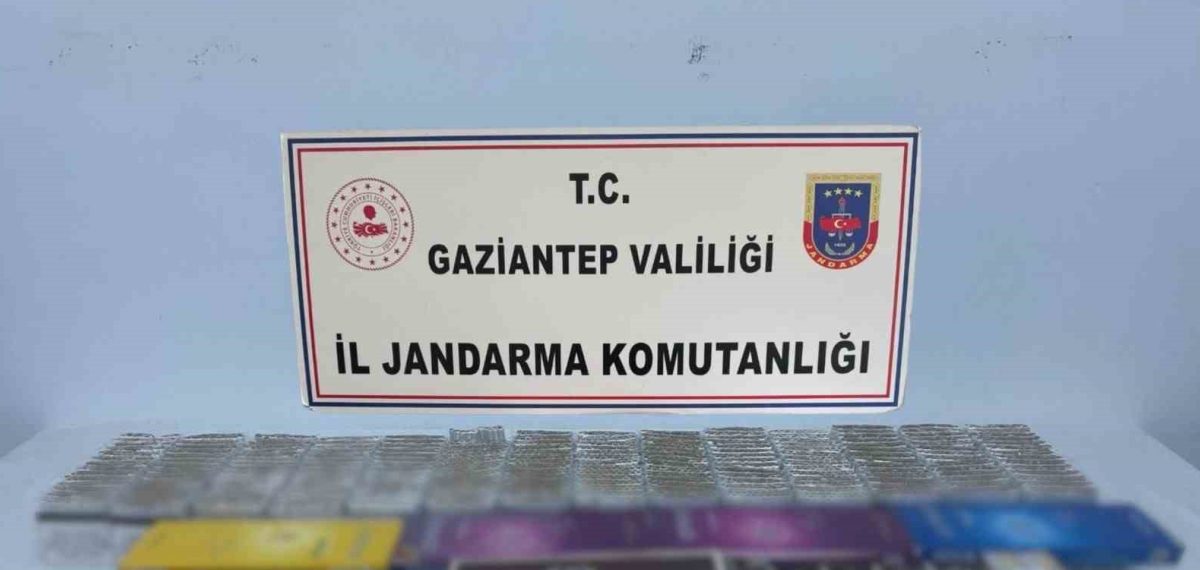 Gaziantep’te jandarma operasyonu: 311 şüpheliden 46’sı tutuklandı