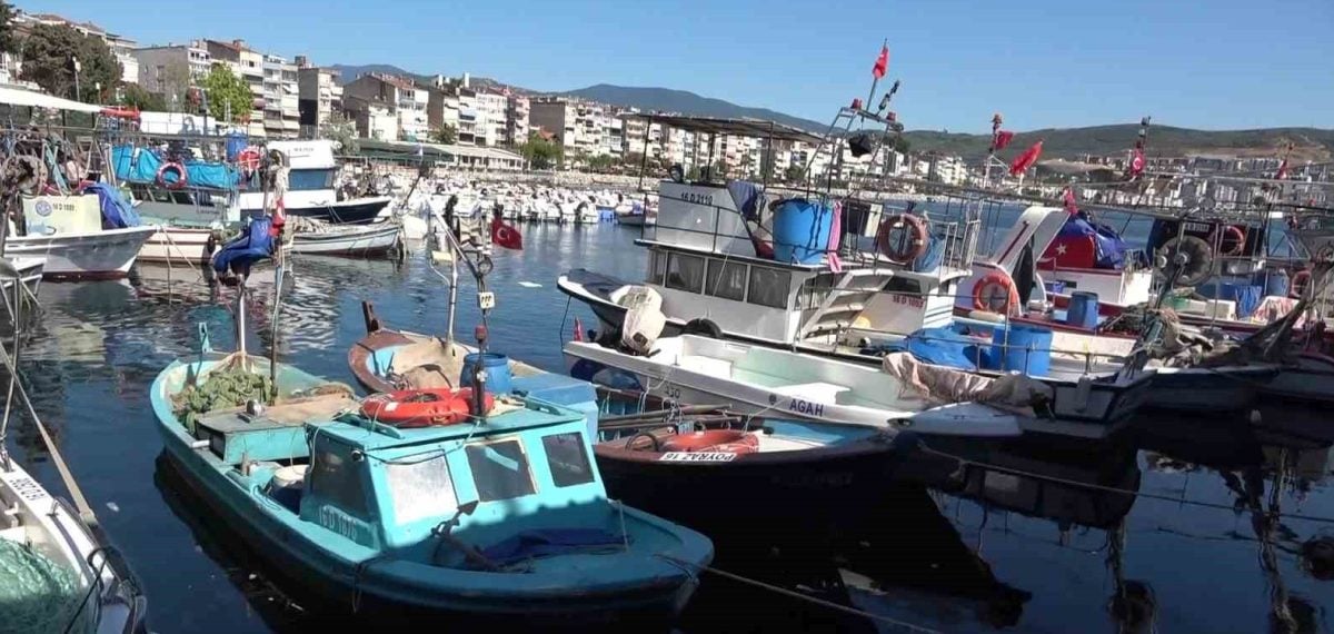 Gemlik’te küçük balıkçılar zor günlerde: Azalan av ve artan maliyetler