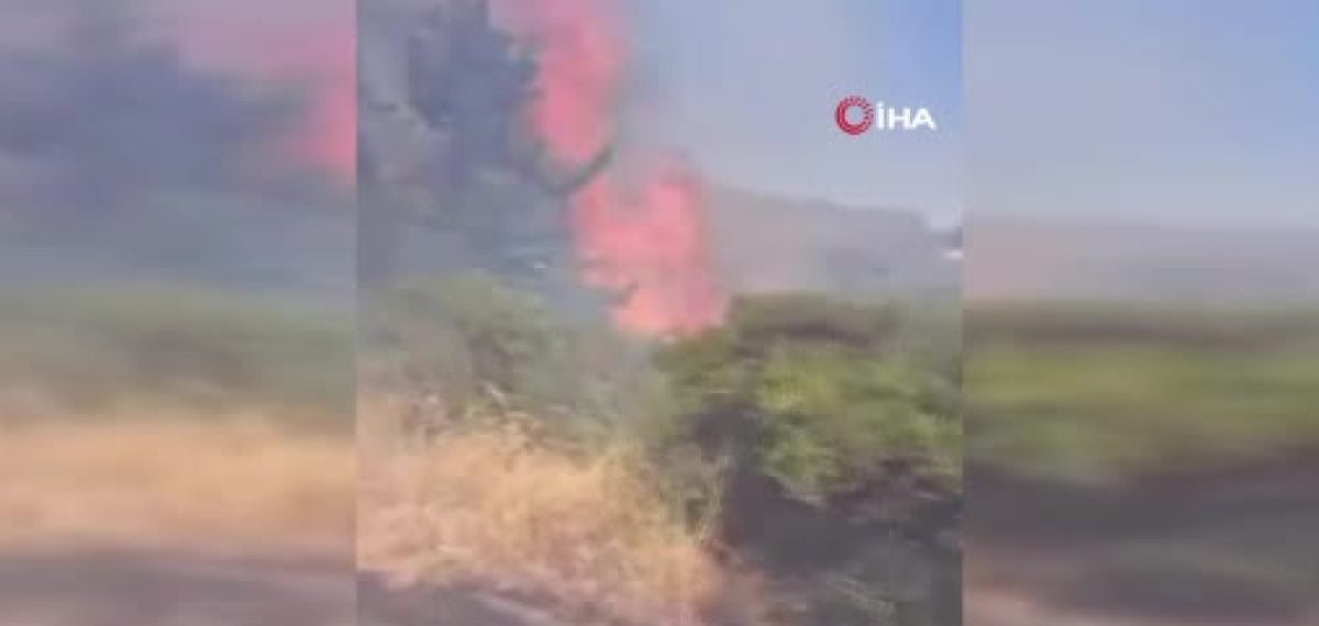 Gemlik’te orman yangını 5 saatte kontrol altına alındı, ekipler alev kapanında mücadele etti