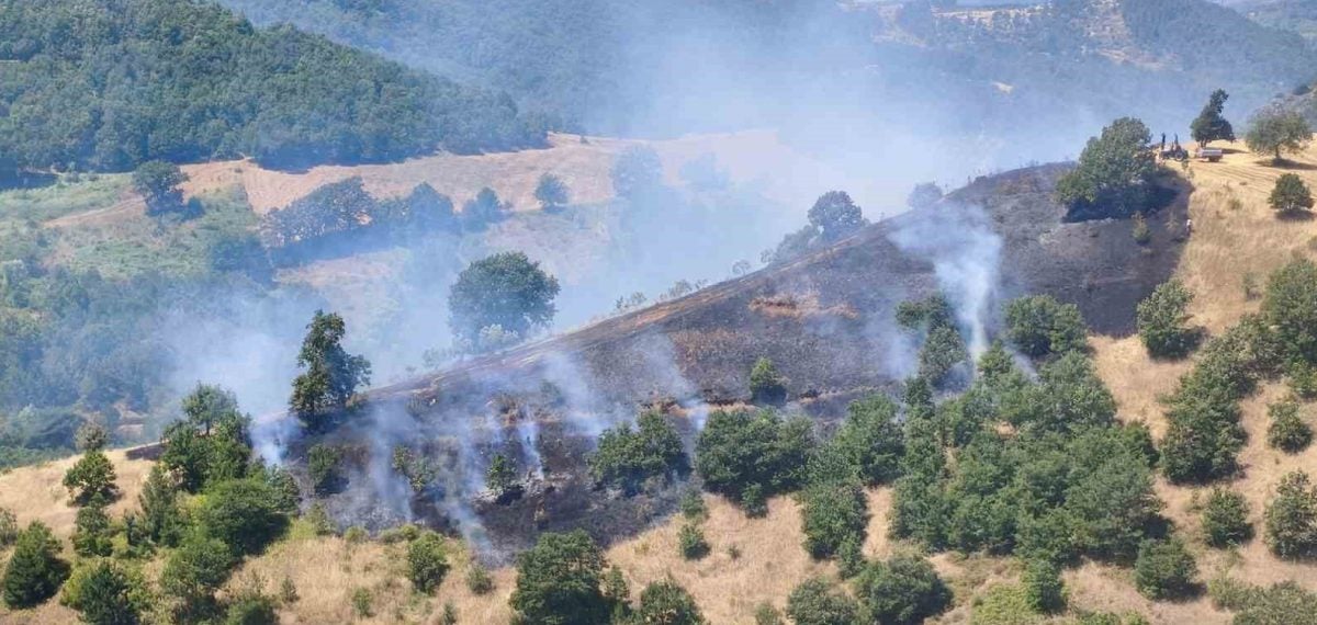 Gemlik’te tarlada çıkan yangın kısa sürede kontrol altına alındı