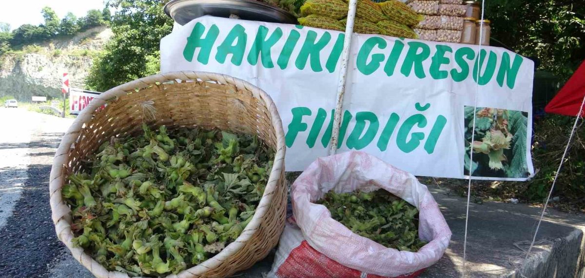 Giresun’da yol kenarı tezgâhlarda taze fındık satışa çıktı, kilogramı 200 TL