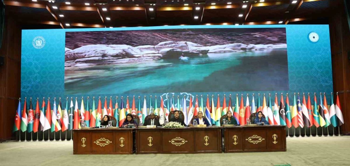 Göktaş, İİT Konferansında Filistinli Kadınlara Destek ve İş Birliği Vurgusu