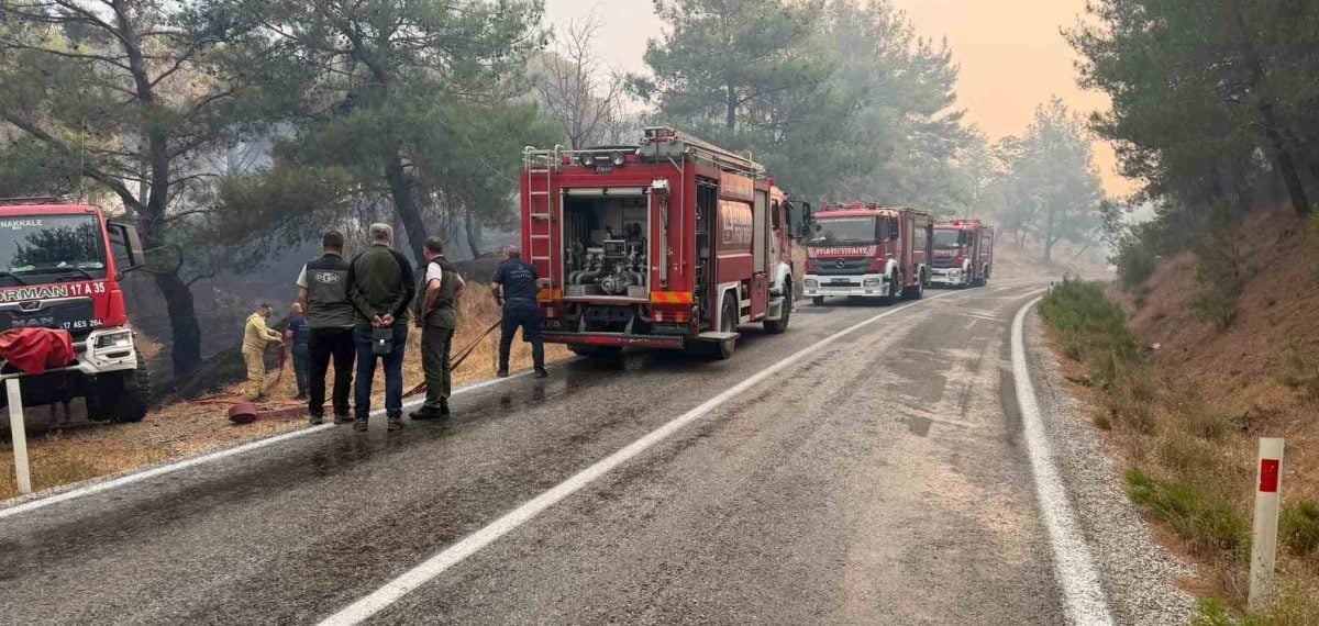 Gömeç’te başlayan orman yangını Ayvalık-Bergama yolunu kapattı