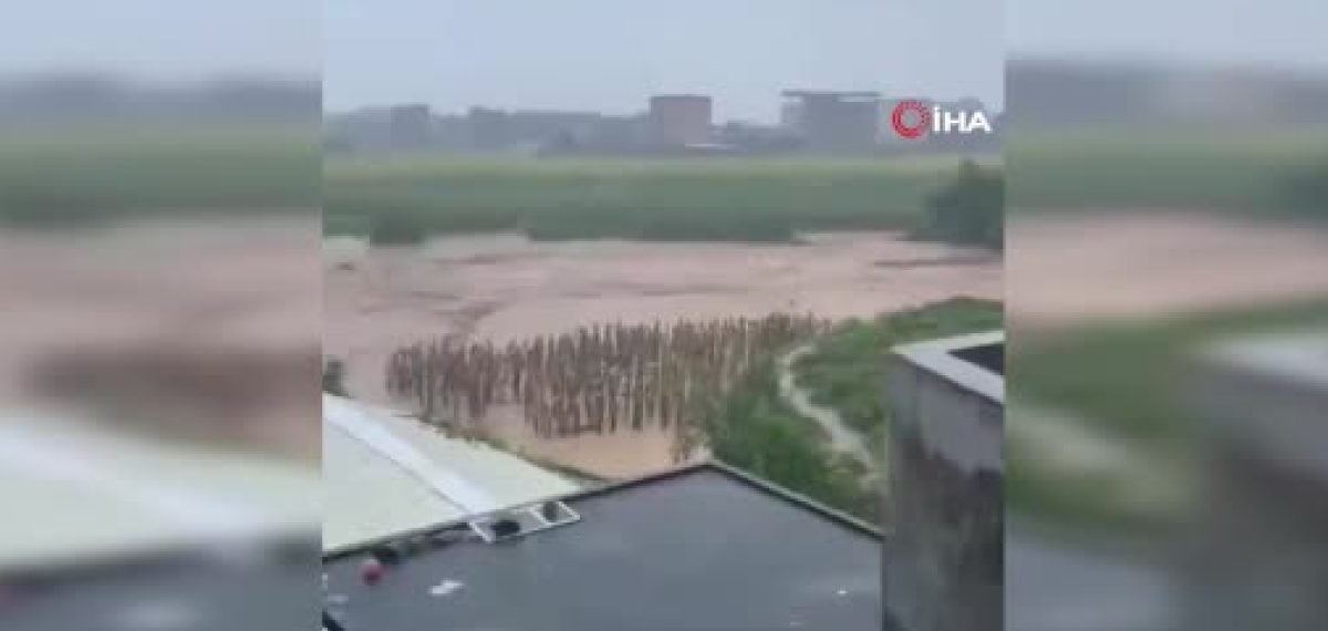 Guangxi’de selde 900’den fazla yılan kaçtı, 38 kişi hayatını kaybetti