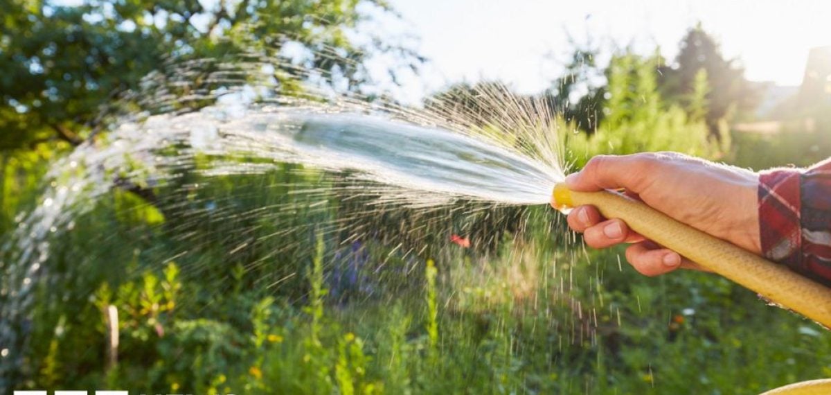 Ireland imposes six-week national hosepipe ban as NI Water urges savings