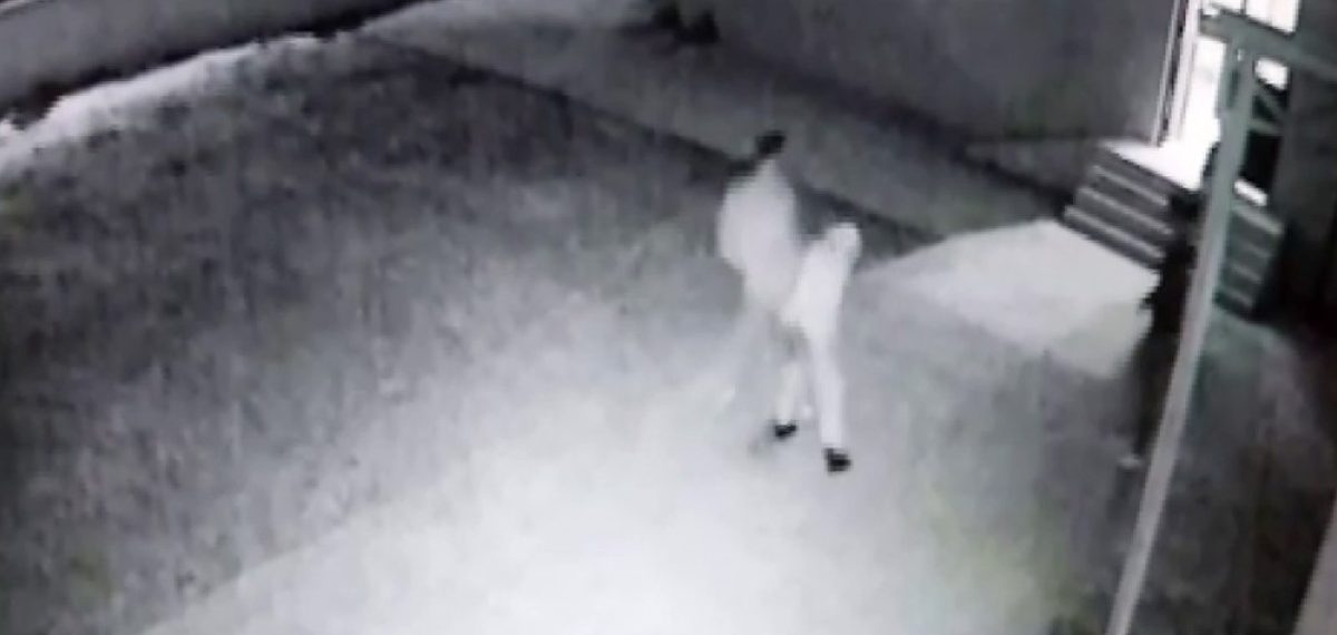 İzmit’te cami imamı, uygunsuz davranışı uyaran genç tarafından darp edildi