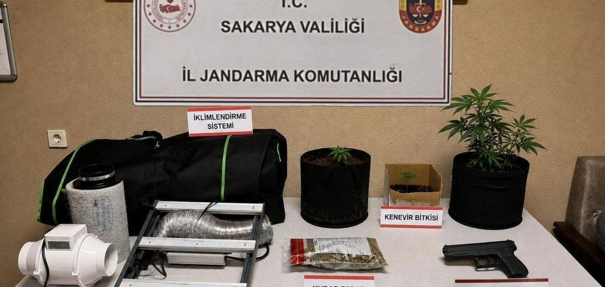 Jandarma operasyonunda 300 gram esrar ve çok sayıda silah ele geçirildi, 2 tutuklu