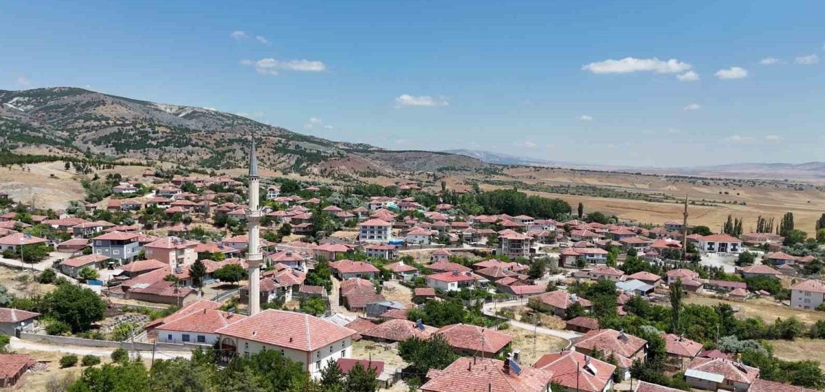Kabalı’da meyvecilik projesi göçü durdurdu, ekonomik hayat canlandı