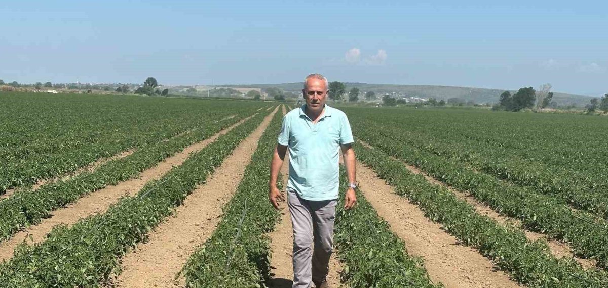 Karacabeyli üretici: Sözleşmeli karpuz alımı yapılmayınca 20 milyon lira zarar etti