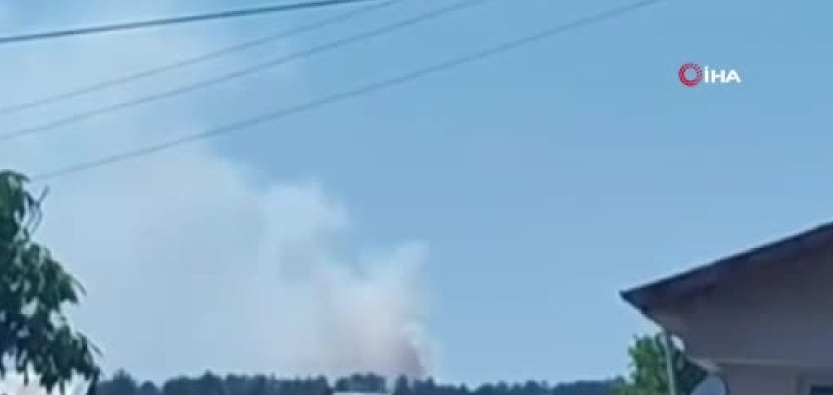 Kastamonu Daday-Araç sınırında çıkan orman yangını hızlı müdahaleyle kontrol altına alındı