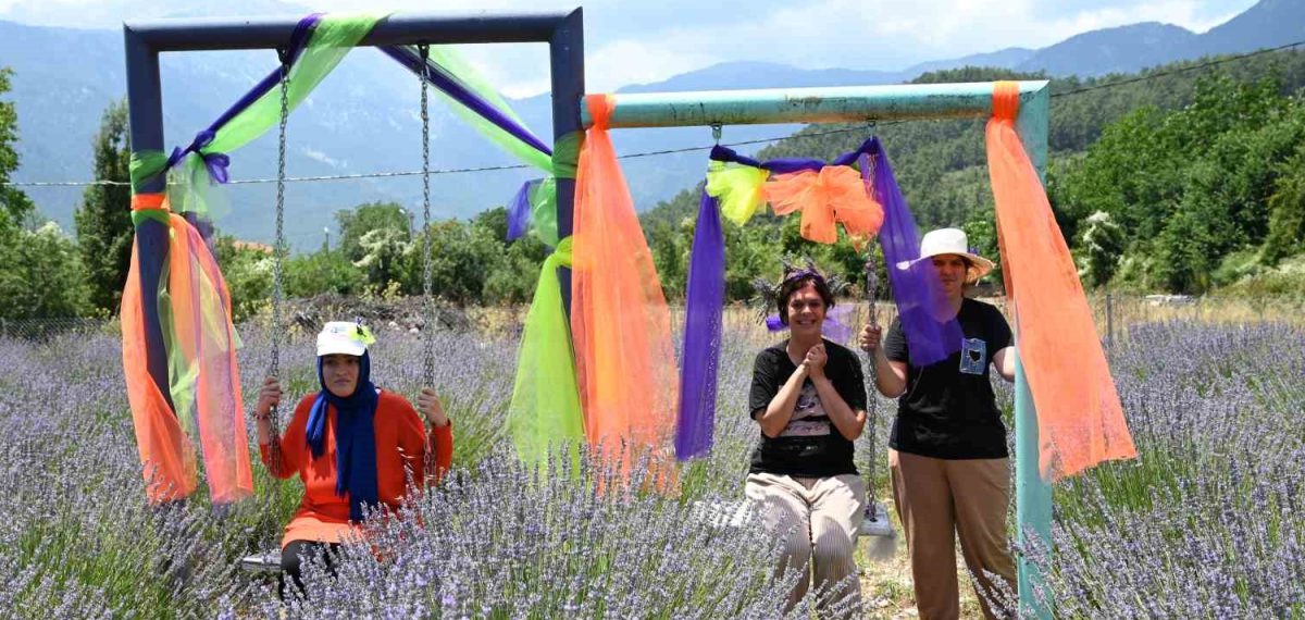Kemer’de Gedelme Yaylası’nda lavanta bahçesi süslenip tanıtım etkinlikleri başlıyor