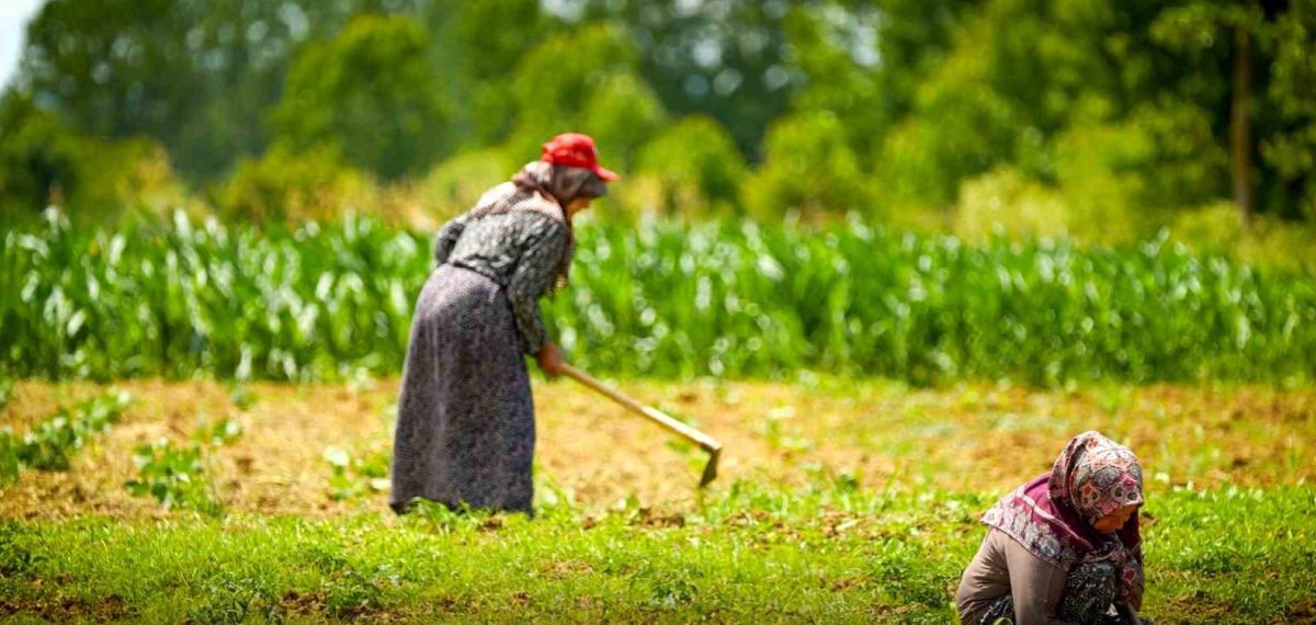 Kocaeli’de 2019-2026’da üreticilere 1,53 milyar lira yatırım yapıldı