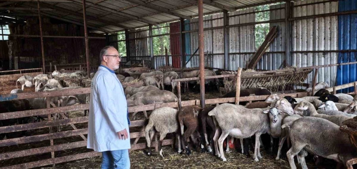 Kocaeli’de veteriner ekipleri kırsal işletmeleri ziyaret ederek hibe desteklerini denetledi