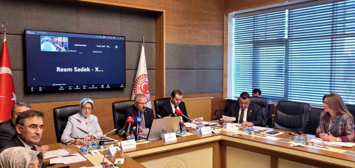 Komisyon TikTok, Google ve Meta temsilcilerini dinledi: 428 bin 713 hesap yasaklandı