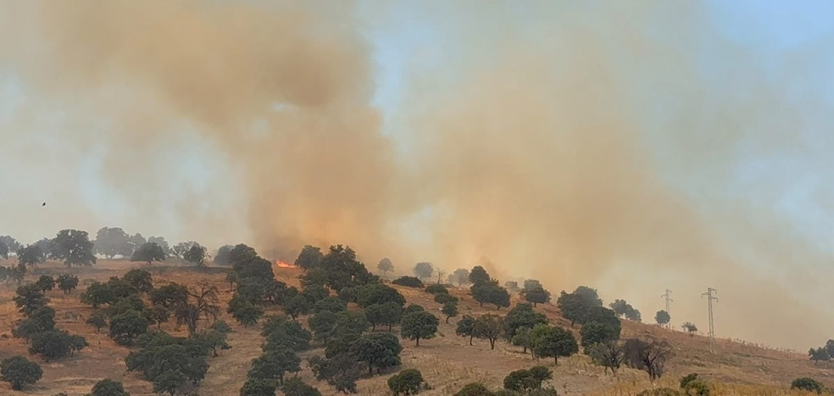 Kula’daki makilik yangını yeniden alevlendi, ekiplerin müdahalesiyle söndürüldü