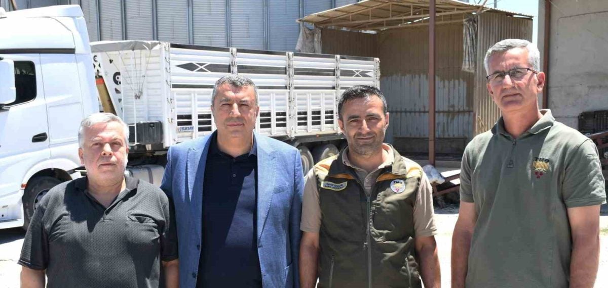 Malatya’da TMO randevulu arpa ve buğday alımlarına başladı, rekolte yüksek bekleniyor