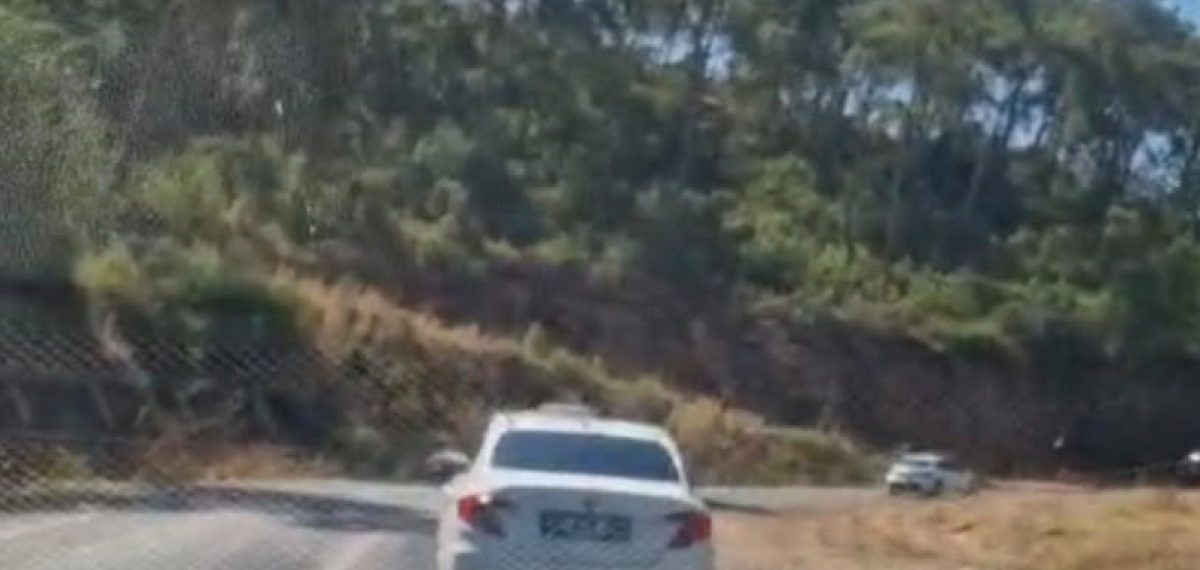 Marmaris’te ormanlık alana izmarit atan sürücü yakalandı, yasal işlem başlatıldı
