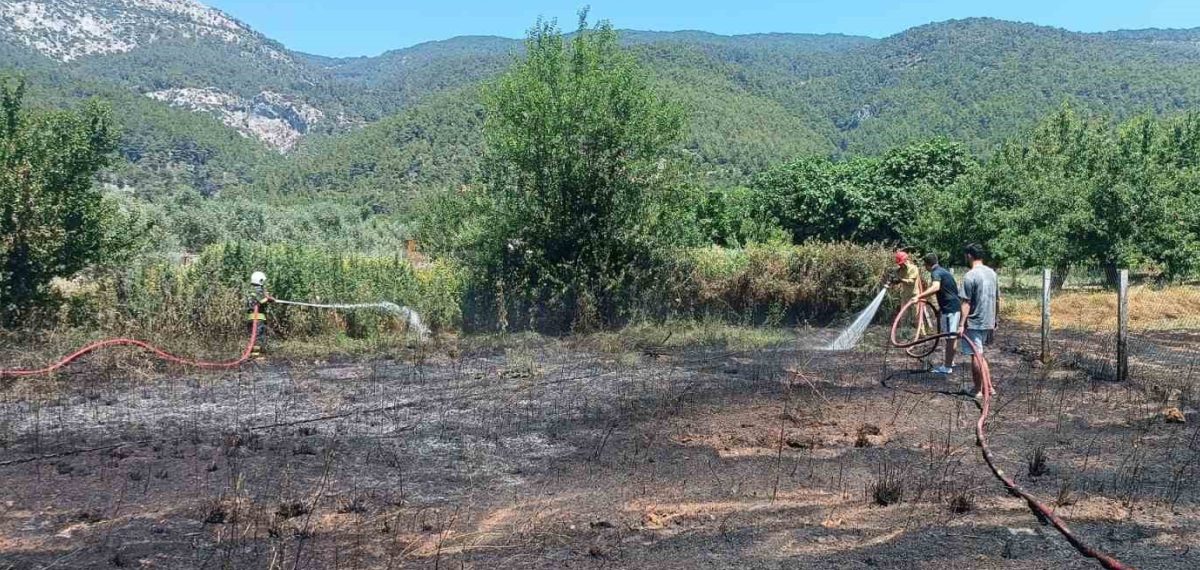 Menteşe’de boş arazide başlayan yangın itfaiye ve orman ekipleriyle kontrol altına alındı