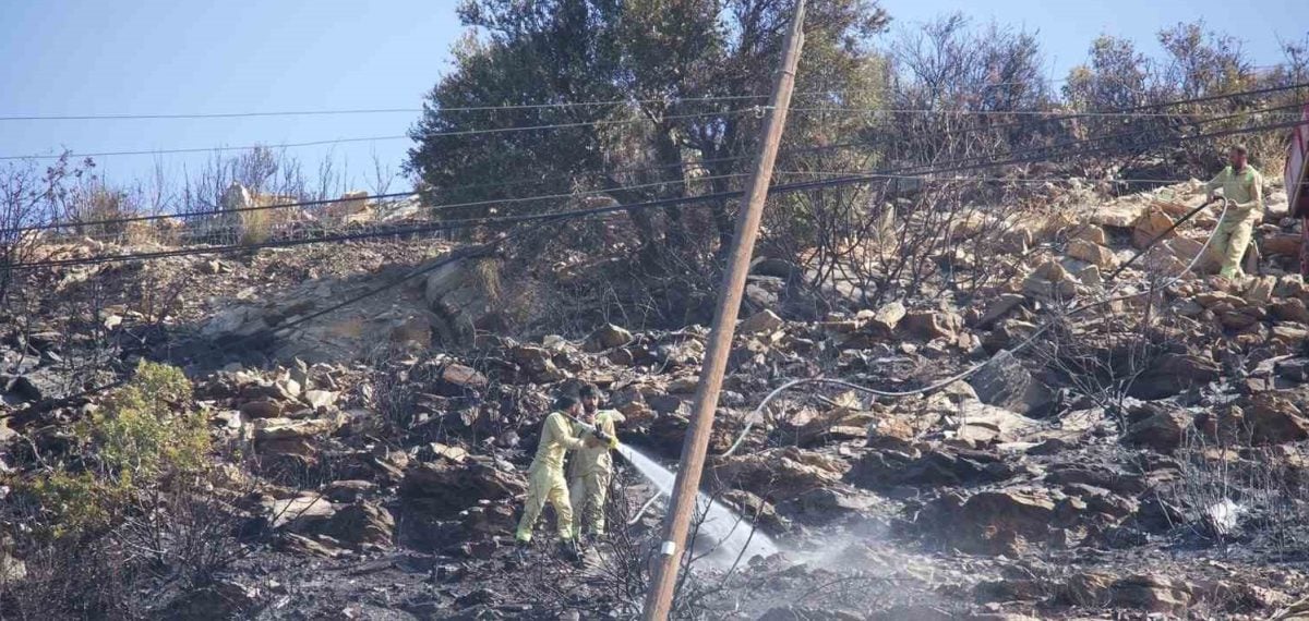 Mersin Aydıncık’taki orman yangını 10 saatte kontrol altına alındı