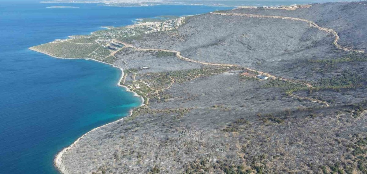 Milas’ta orman yangını büyük ölçüde kontrol altına alındı, yüzlerce hektar zarar gördü