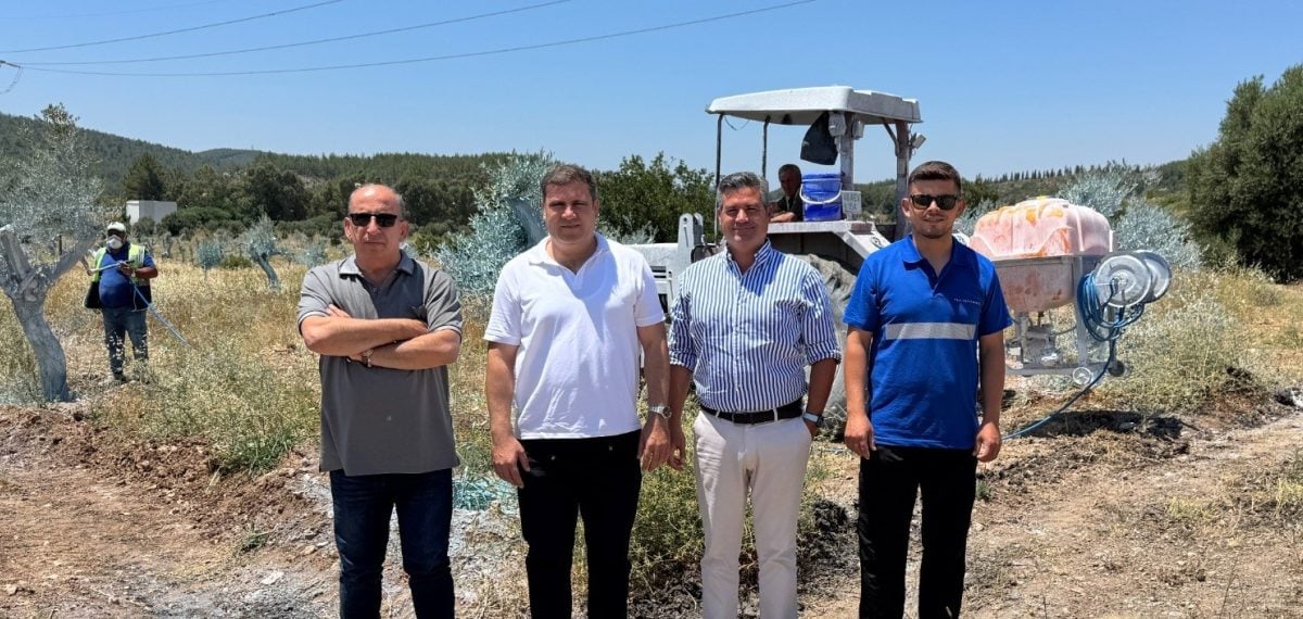 Milas’ta taşınan zeytin ağaçları ve yeni fidanların bakımı bilimsel programla sürüyor