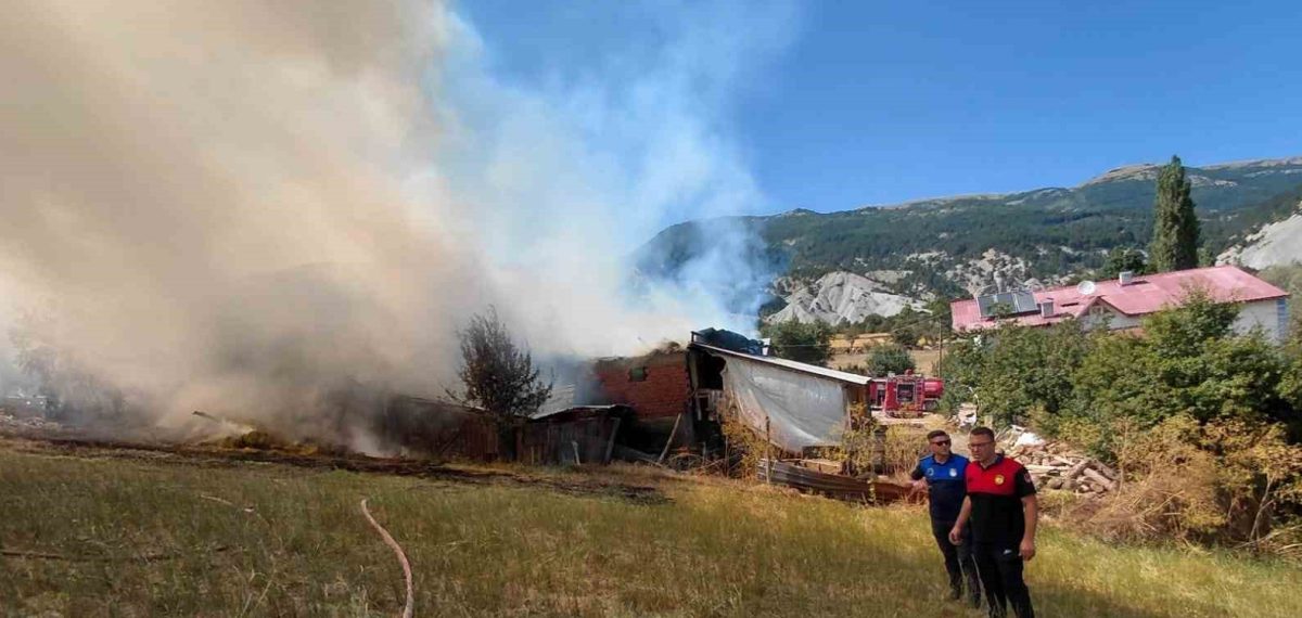 Mudurnu’da ahır ve samanlık yangını, hayvanlar kurtarıldı