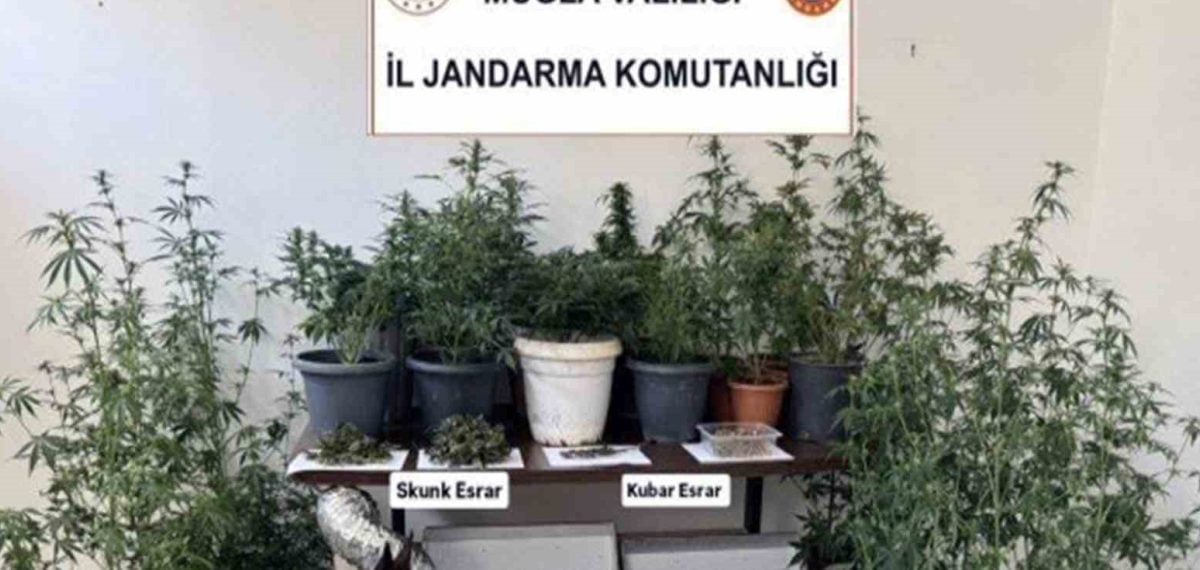 Muğla Jandarması Haziran ayında 113 uyuşturucu olayını aydınlattı