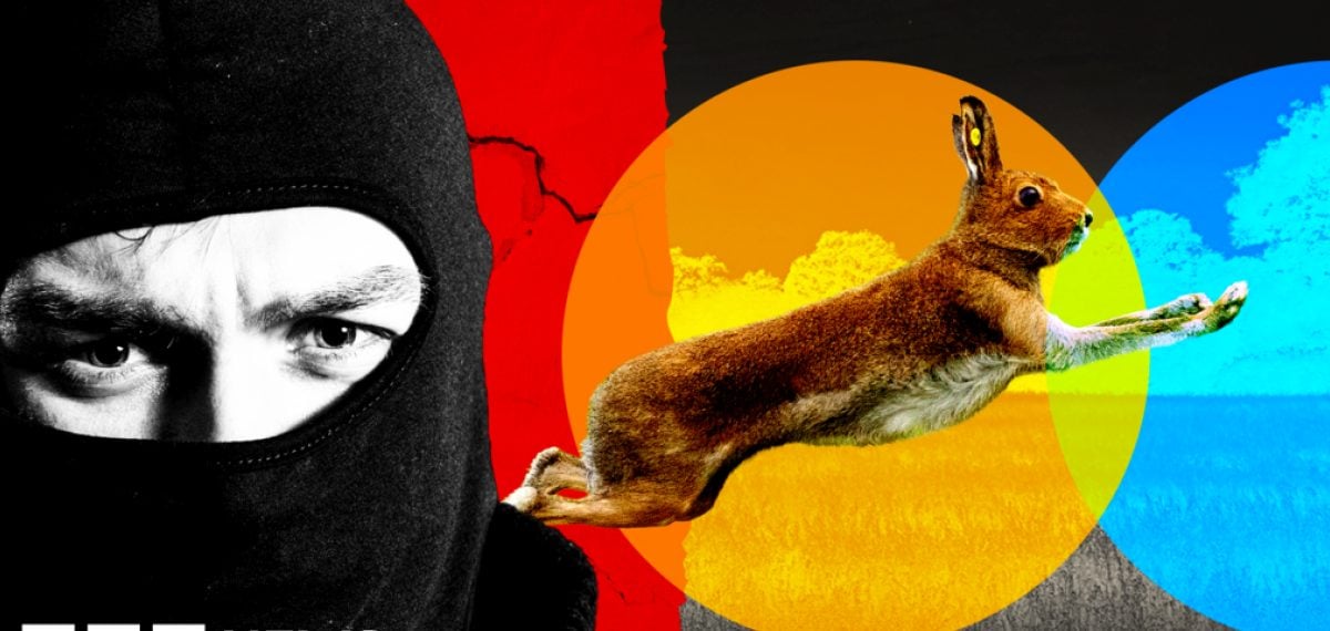 Organized hare-coursing gangs overrun Cambridgeshire farm, leaving carcasses and chaos