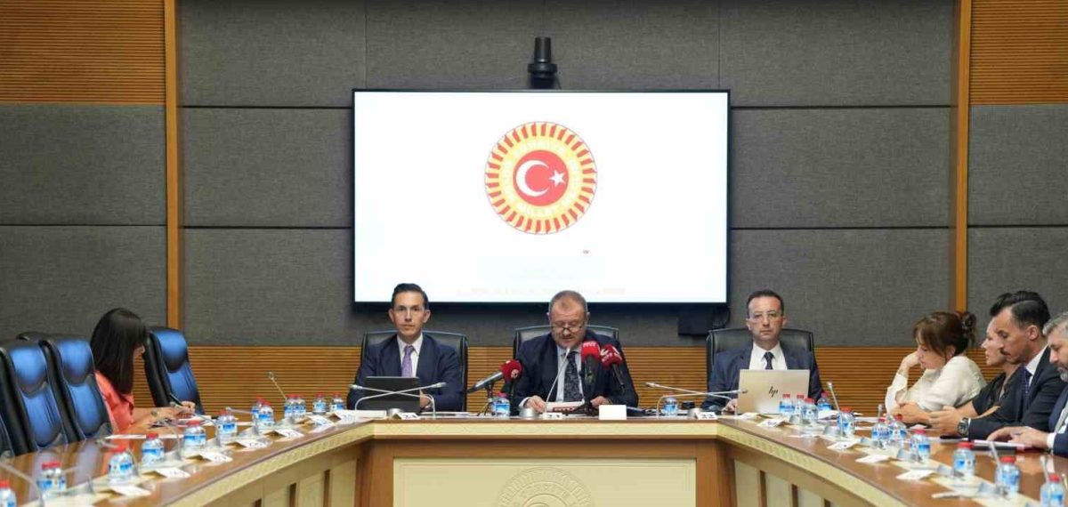 RTÜK Başkanı Daniş: Çocukların korunmasına yönelik koruyucu sembol ve denetim güçlendiriliyor