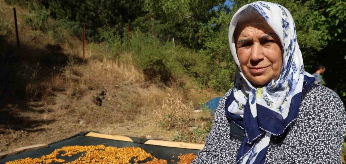 Saimbeyli’de fazla kalan kirazlar sıcak su ve güneşte kurutularak kışlık çerez yapıldı