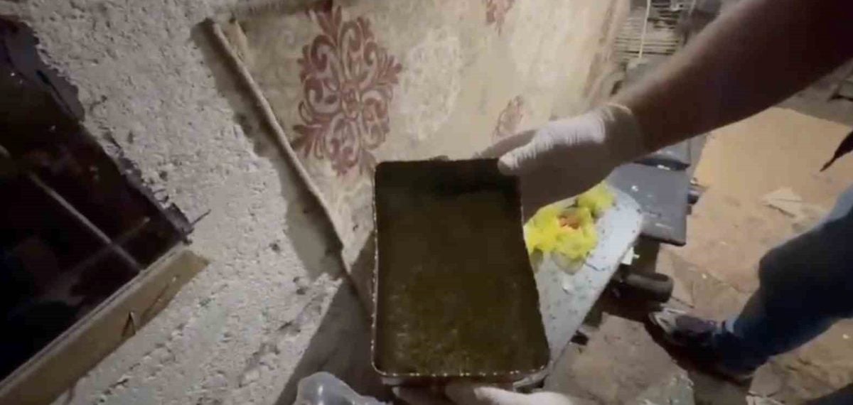 Sakarya’da evde bonzai üretimi iddiası: 1 tutuklu, çok sayıda sentetik kannabinoid ele geçirildi